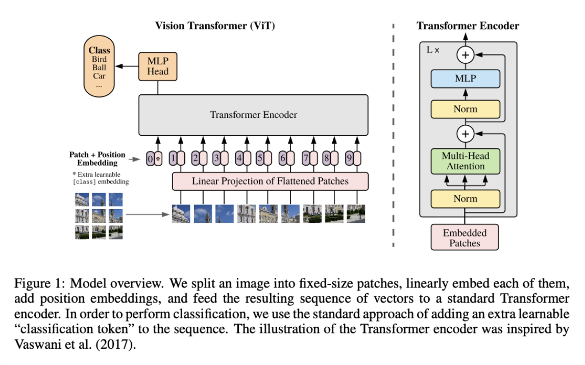 VIT model overview